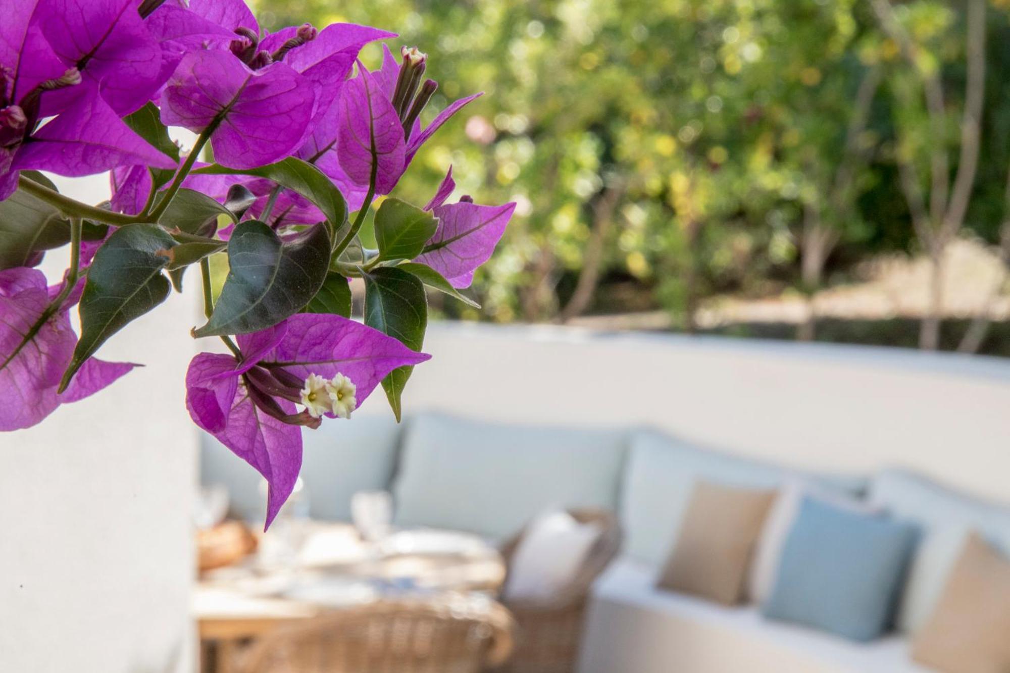 Boutique Hotel Chateau Rouher Propriano  Exterior foto